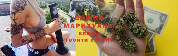 прущие грибы Балабаново