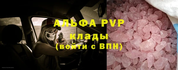 молекула духа Арсеньев