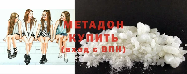 прущие грибы Балабаново