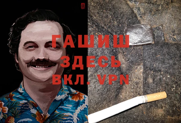 прущие грибы Балабаново