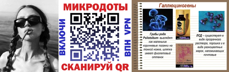 omg онион  Вытегра  Псилоцибиновые грибы GOLDEN TEACHER 